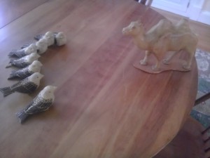 Camel and Sparrows 1