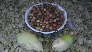 Acorns with Radishes