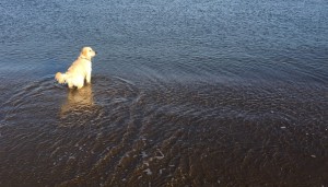 20150101 Desmond at Plum Island